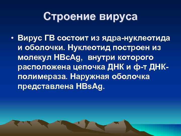 Строение вируса • Вирус ГВ состоит из ядра-нуклеотида и оболочки. Нуклеотид построен из молекул