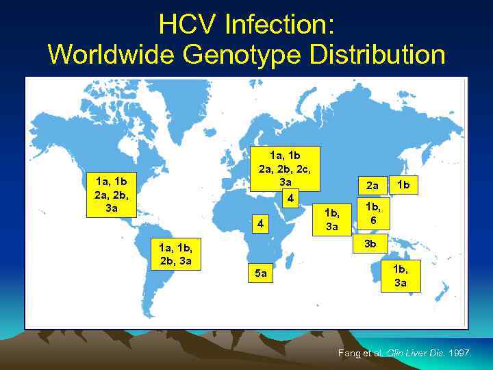 HCV Infection: Worldwide Genotype Distribution 1 a, 1 b 2 a, 2 b, 2