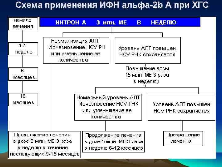  Схема применения ИФН альфа-2 b А при ХГС 