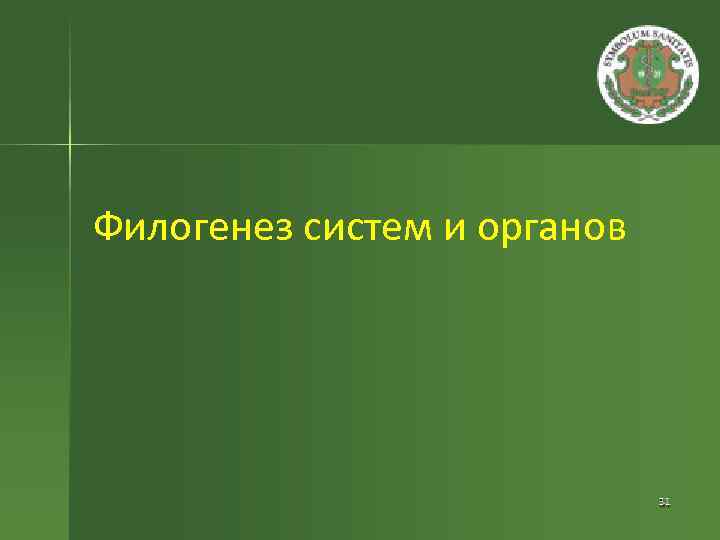 Филогенез систем и органов 
