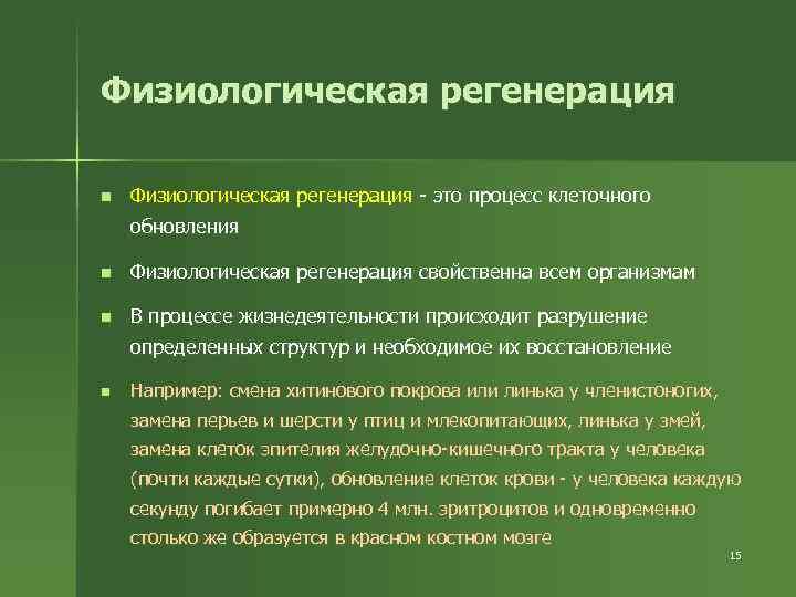 Характерные черты процесса регенерации презентация