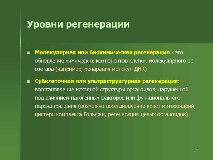Уровни регенерации n Молекулярная или биохимическая регенерация - это обновление химических компонентов клетки, молекулярного