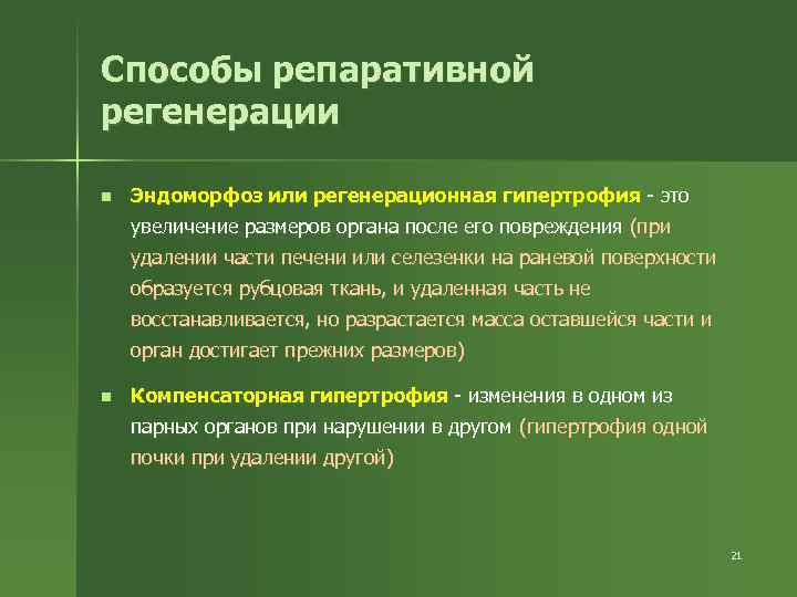 Способы репаративной регенерации n Эндоморфоз или регенерационная гипертрофия - это увеличение размеров органа после