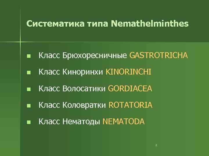 Систематика типа Nemathelminthes n Класс Брюхоресничные GASTROTRICHA n Класс Киноринхи KINORINCHI n Класс Волосатики