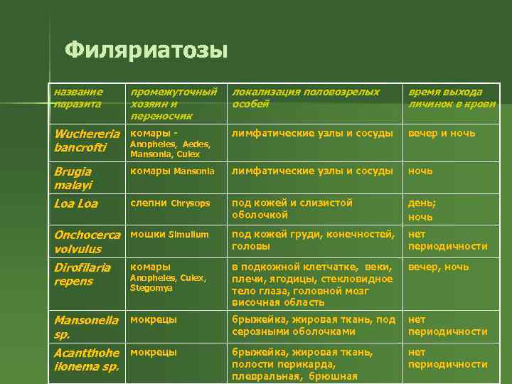 Филяриатозы название паразита промежуточный хозяин и переносчик локализация половозрелых особей время выхода личинок в