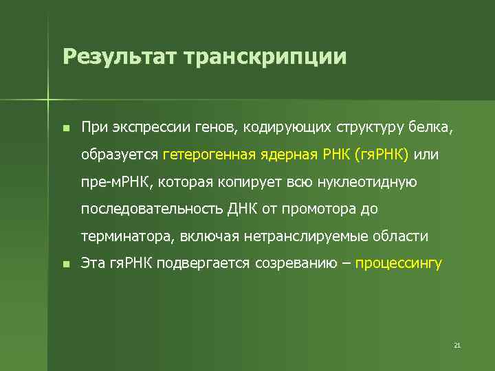 Результат транскрипции n При экспрессии генов, кодирующих структуру белка, образуется гетерогенная ядерная РНК (гя.