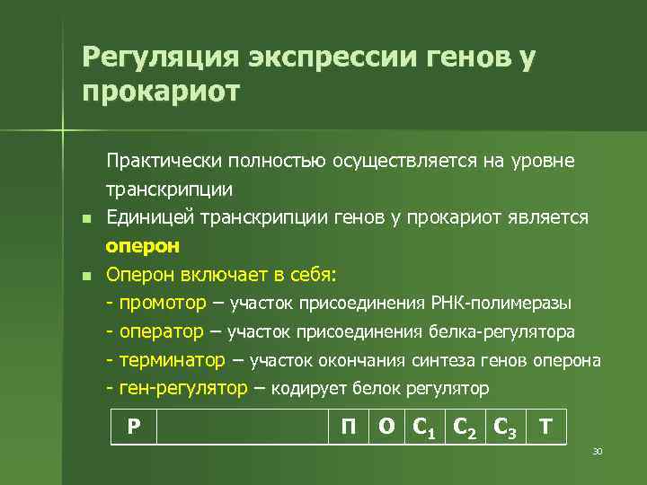 Регуляция экспрессии генов у прокариот n n Практически полностью осуществляется на уровне транскрипции Единицей
