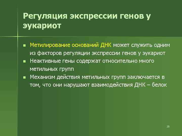 Регуляция экспрессии генов у эукариот n n n Метилирование оснований ДНК может служить одним
