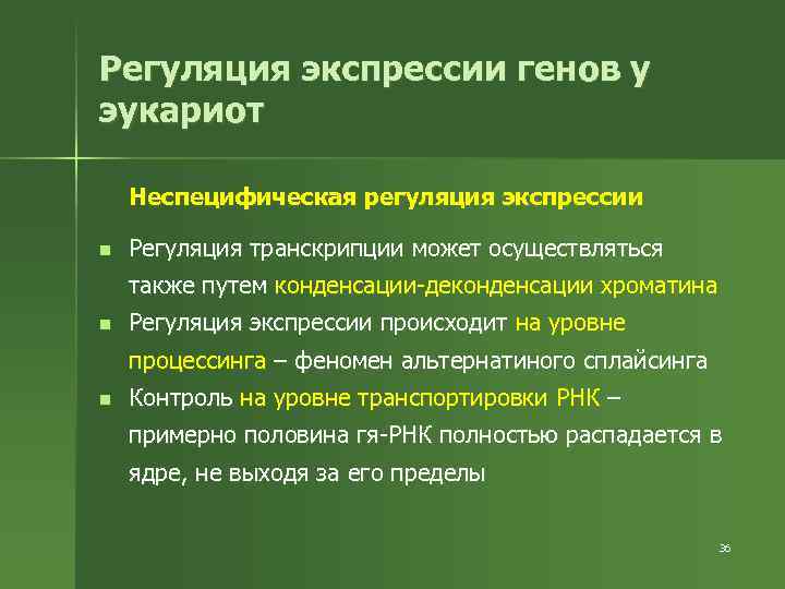 Регуляция экспрессии генов у эукариот Неспецифическая регуляция экспрессии n Регуляция транскрипции может осуществляться также