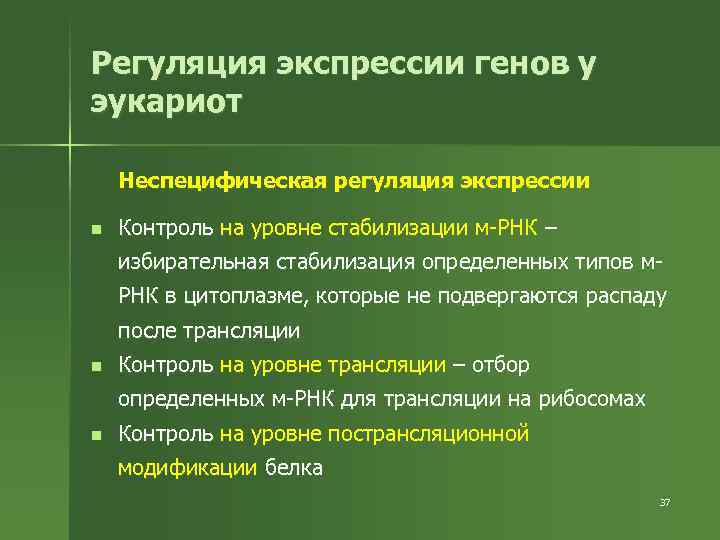 Регуляция экспрессии генов у эукариот Неспецифическая регуляция экспрессии n Контроль на уровне стабилизации м-РНК
