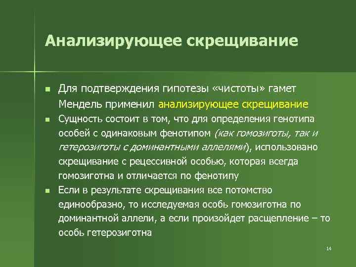 Анализирующее скрещивание n n n Для подтверждения гипотезы «чистоты» гамет Мендель применил анализирующее скрещивание