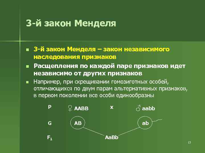 3 -й закон Менделя n n n 3 -й закон Менделя – закон независимого