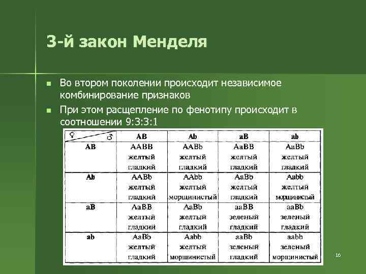 3 -й закон Менделя n n Во втором поколении происходит независимое комбинирование признаков При