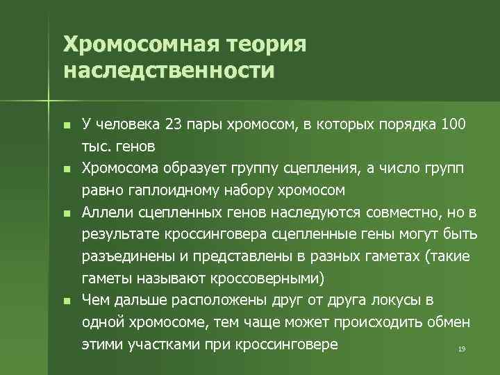 Хромосомная теория наследственности n n У человека 23 пары хромосом, в которых порядка 100