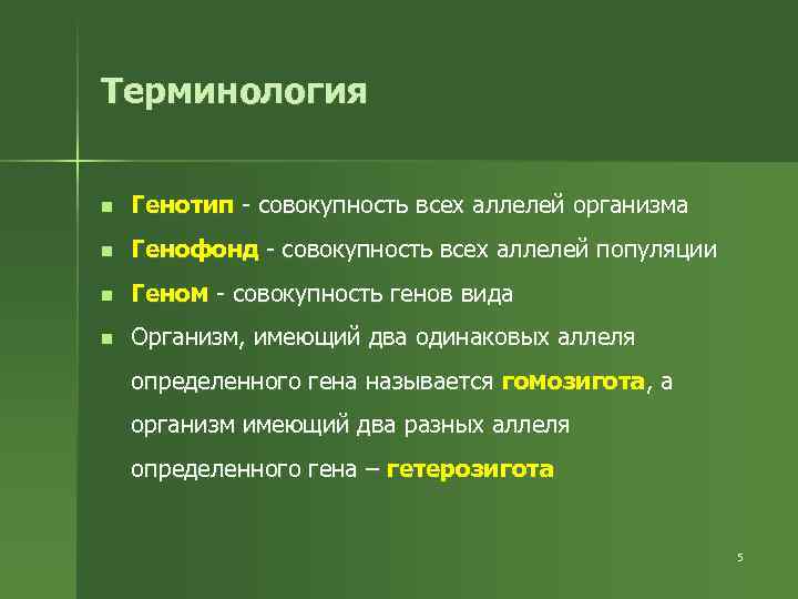 Терминология n Генотип - совокупность всех аллелей организма n Генофонд - совокупность всех аллелей