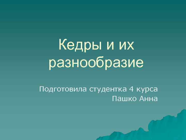 Кедры и их разнообразие Подготовила студентка 4 курса Пашко Анна 