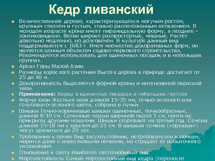 Кедр ливанский u u u u u Величественное дерево, характеризующееся могучим ростом, крупным стволом