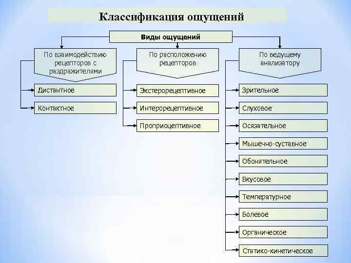 Формы ощущений в психологии. Классификация видов ощущений в психологии. Классификация ощущений таблица. Классификация ощущений по расположению рецепторов. Основания классификации ощущений.