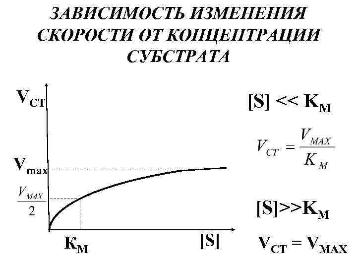 ЗАВИСИМОСТЬ ИЗМЕНЕНИЯ СКОРОСТИ ОТ КОНЦЕНТРАЦИИ СУБСТРАТА VСТ [S] << KМ Vmax [S]>>KМ КМ [S]
