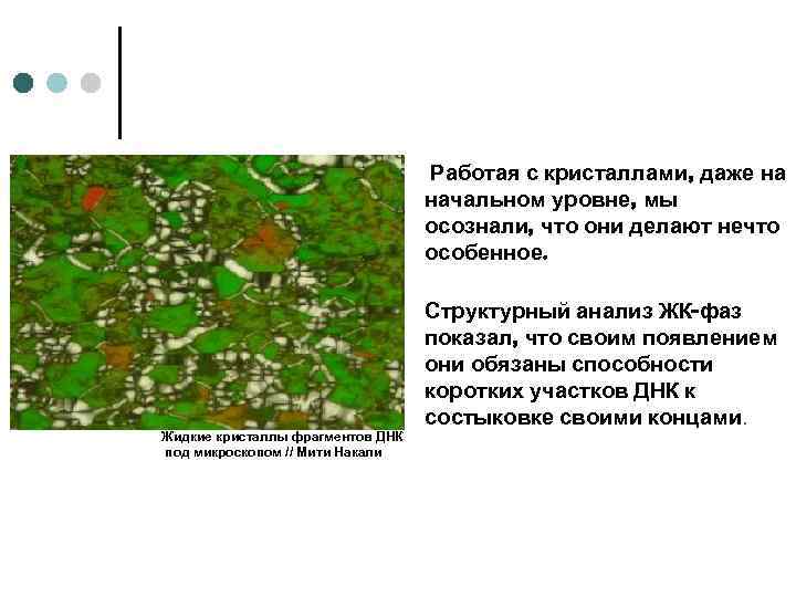 Работая с кристаллами, даже на начальном уровне, мы осознали, что они делают нечто особенное.