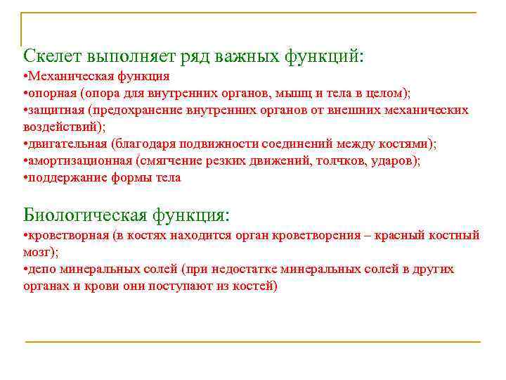 Скелет выполняет ряд важных функций: • Механическая функция • опорная (опора для внутренних органов,