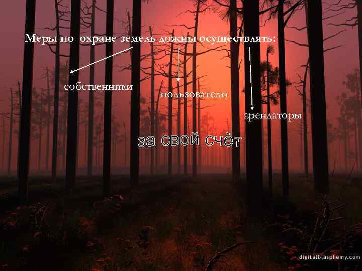 Меры по охране земель дожны осуществлять: собственники пользователи арендаторы 