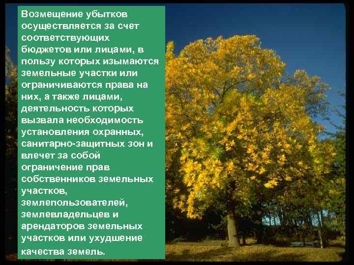 Возмещение убытков осуществляется за счет соответствующих бюджетов или лицами, в пользу которых изымаются земельные