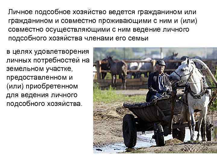 Личное подсобное хозяйство ведется гражданином или гражданином и совместно проживающими с ним и (или)