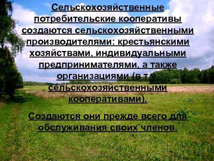 Сельскохозяйственные потребительские кооперативы создаются сельскохозяйственными производителями: крестьянскими хозяйствами, индивидуальными предпринимателями, а также организациями (в