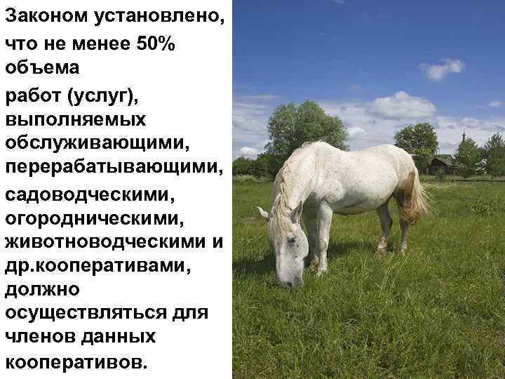 Законом установлено, что не менее 50% объема работ (услуг), выполняемых обслуживающими, перерабатывающими, садоводческими, огородническими,