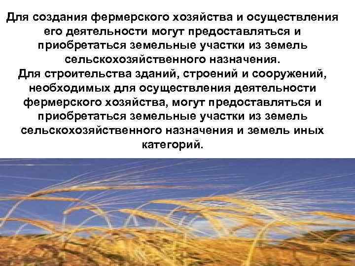Для создания фермерского хозяйства и осуществления его деятельности могут предоставляться и приобретаться земельные участки