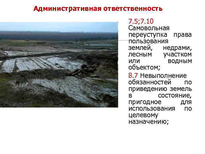 Административная ответственность 7. 5; 7. 10 Самовольная переуступка права пользования землей, недрами, лесным участком