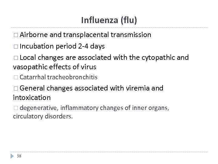 Influenza (flu) Airborne and transplacental transmission Incubation period 2 -4 days Local changes are