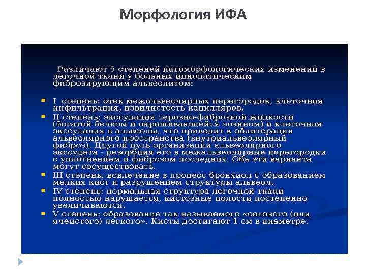 Морфология ИФА 