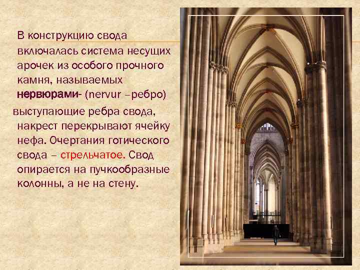 В конструкцию свода включалась система несущих арочек из особого прочного камня, называемых нервюрами- (nervur