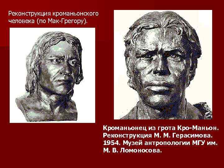 Реконструкция кроманьонского человека (по Мак-Грегору). Кроманьонец из грота Кро-Маньон. Реконструкция М. М. Герасимова. 1954.