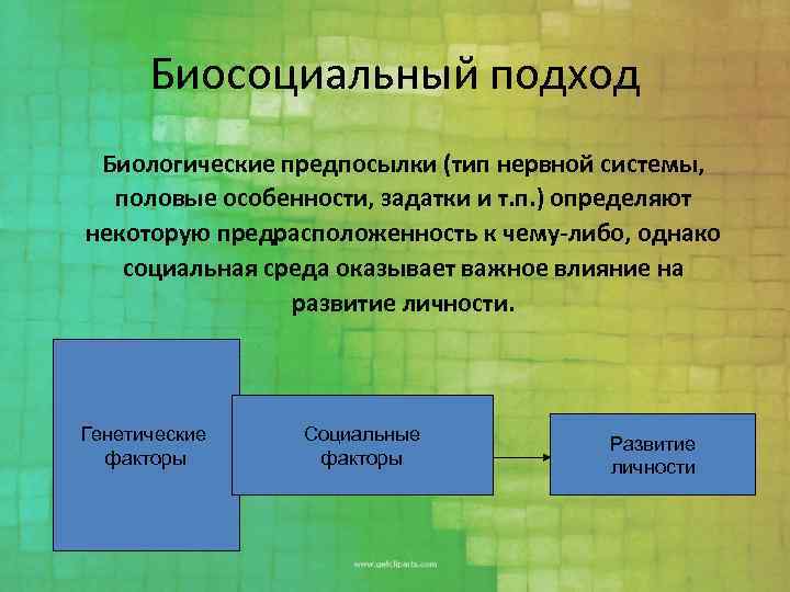 Биосоциальный подход Биологические предпосылки (тип нервной системы, половые особенности, задатки и т. п. )