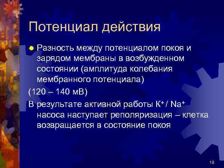 Потенциал действия ® Разность между потенциалом покоя и зарядом мембраны в возбужденном состоянии (амплитуда