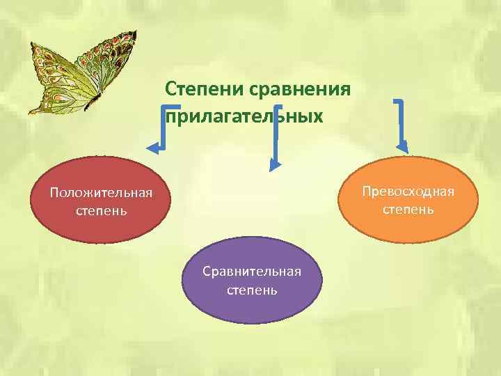 Степени сравнения прилагательных Превосходная степень Положительная степень Сравнительная степень 