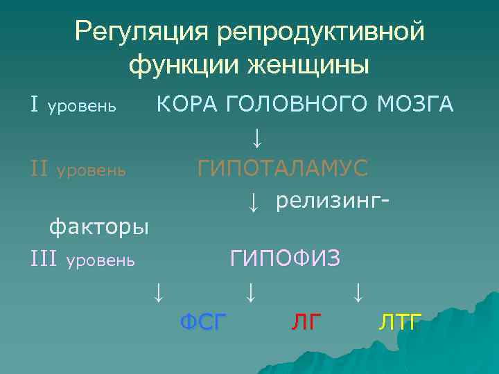 Регуляция репродуктивной функции женщины I уровень II уровень факторы III уровень КОРА ГОЛОВНОГО МОЗГА