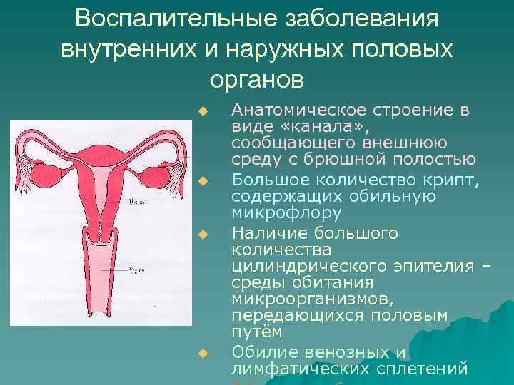 Презентация травмы женских половых органов