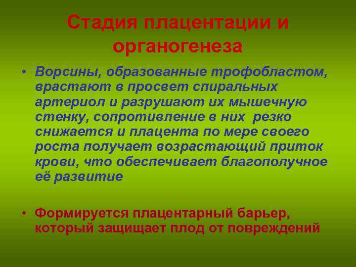 Стадия плацентации и органогенеза • Ворсины, образованные трофобластом, врастают в просвет спиральных артериол и