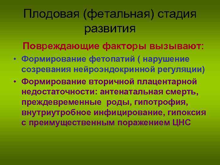 Плодовая (фетальная) стадия развития Повреждающие факторы вызывают: • Формирование фетопатий ( нарушение созревания нейроэндокринной