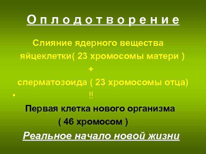 Оплодотворение Слияние ядерного вещества яйцеклетки( 23 хромосомы матери ) + сперматозоида ( 23 хромосомы