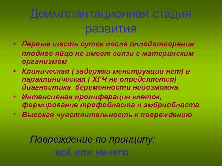 Доимплантационная стадия развития • Первые шесть суток после оплодотворения плодное яйцо не имеет связи