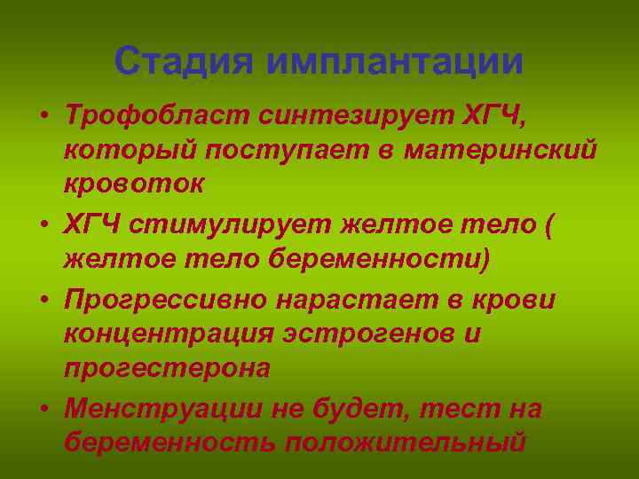 Стадия имплантации • Трофобласт синтезирует ХГЧ, который поступает в материнский кровоток • ХГЧ стимулирует