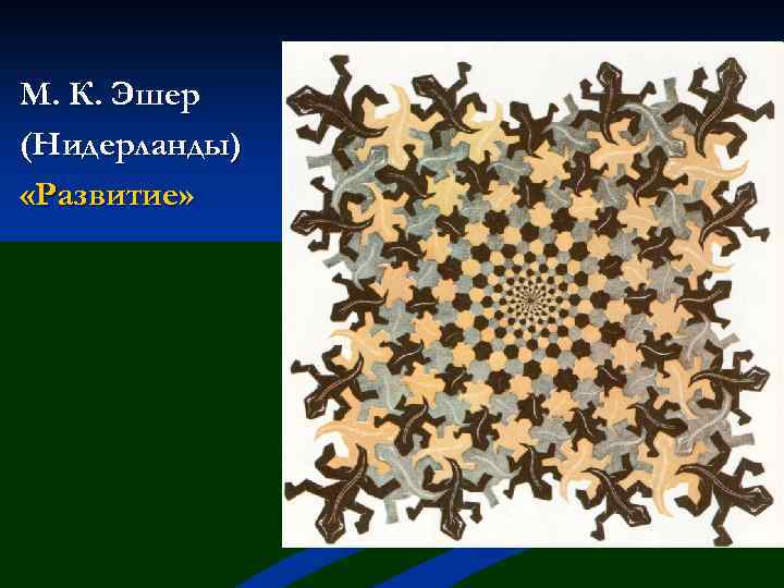 М. К. Эшер (Нидерланды) «Развитие» 