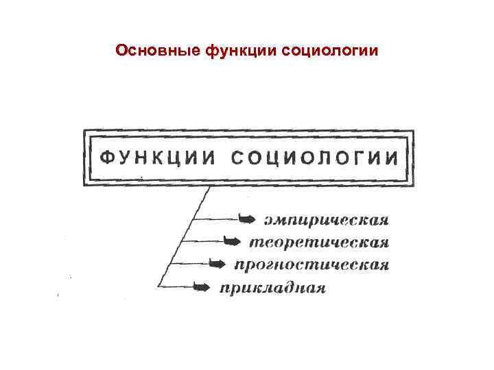 Основные функции социологии 