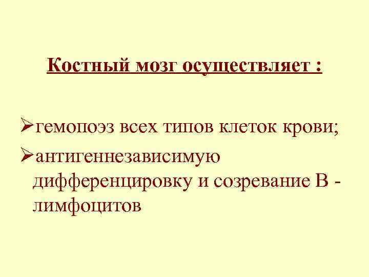 Костный мозг осуществляет : Øгемопоэз всех типов клеток крови; Øантигеннезависимую дифференцировку и созревание В