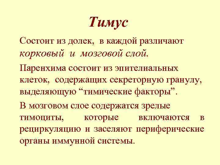 Тимус Состоит из долек, в каждой различают корковый и мозговой слой. Паренхима состоит из